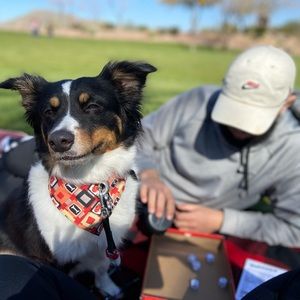 Meet your Posher, Brendan